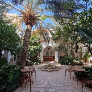 Riad Ifoulki