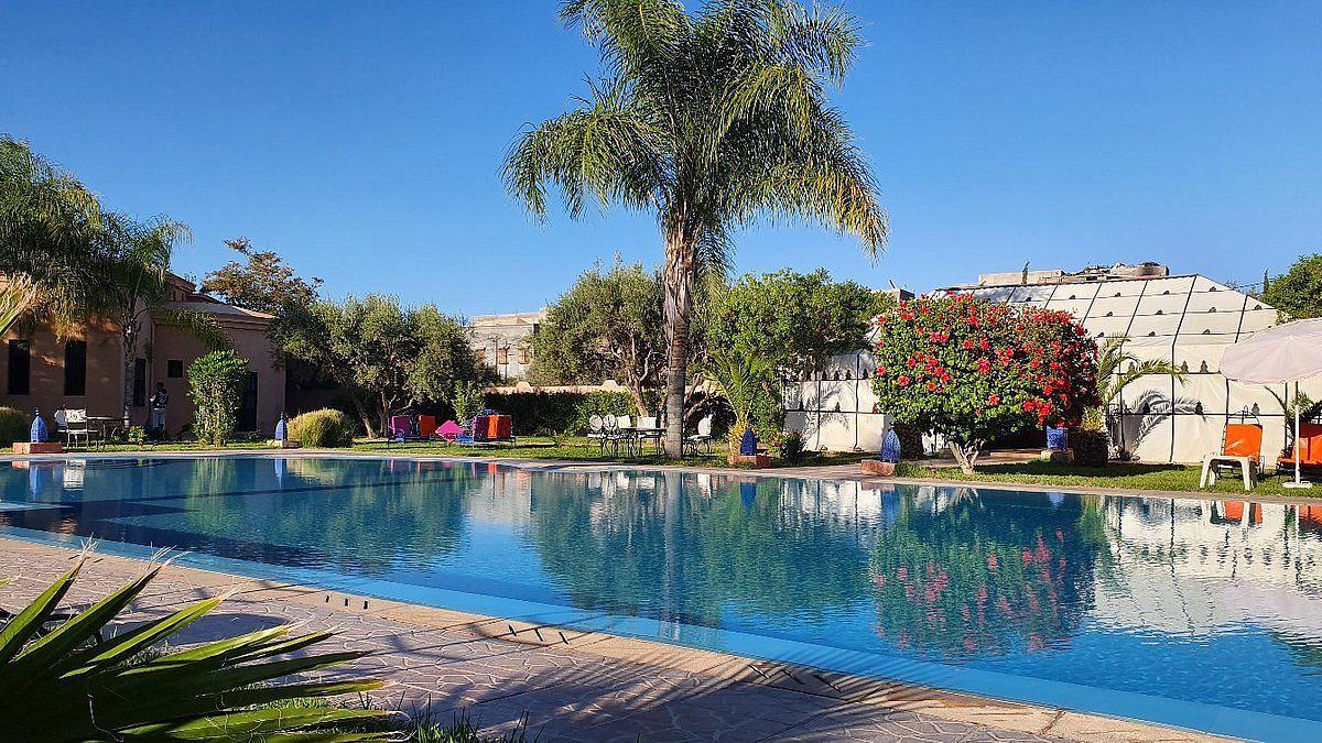 Las Palmeras